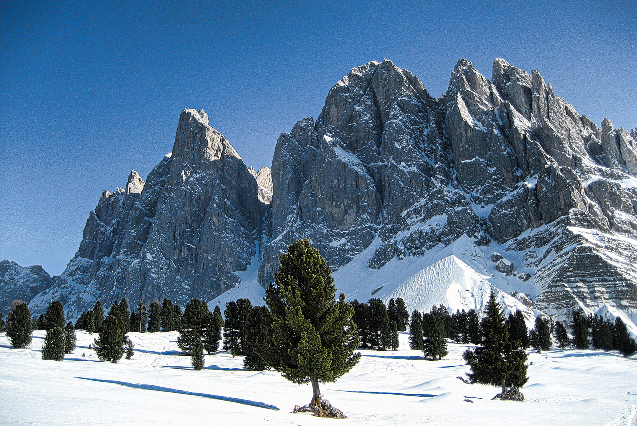 Snowy mountains rise behind pine trees under a clear blue sky in a scenic winter landscape. - Residence Aichner