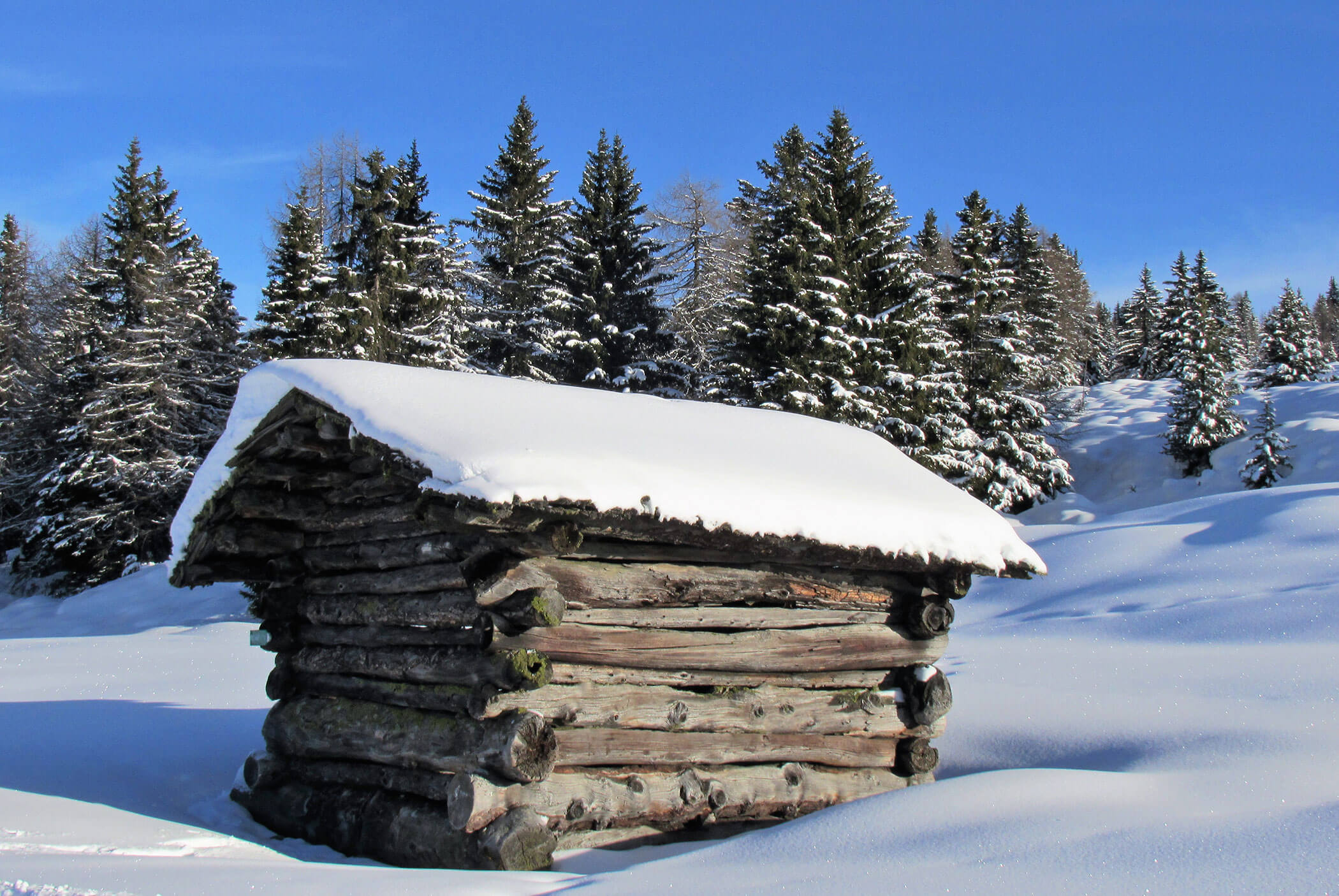 A small log cabin covered in snow stands in a snowy forest with evergreen trees under a clear blue sky. - Residence Aichner