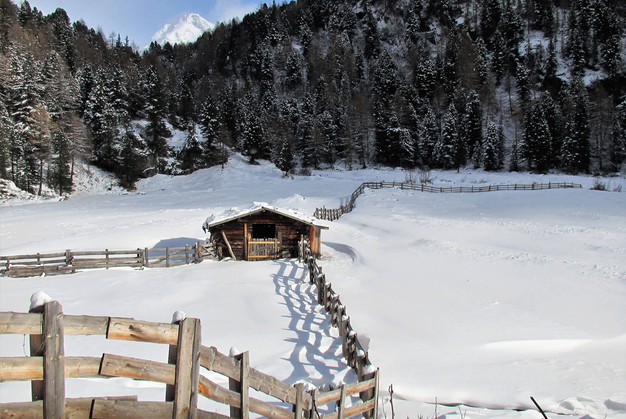 A small wooden cabin sits in a snowy field, surrounded by a wooden fence and snow-covered trees. - Residence Aichner